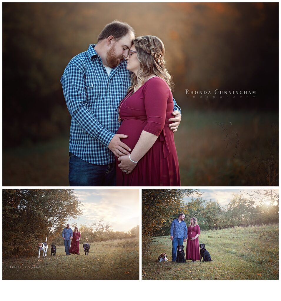 Collage of maternity pictures in Lexington, Ky with pets