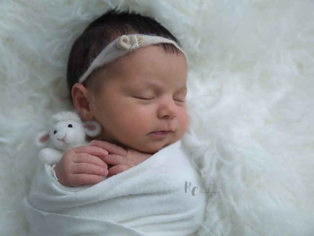 Newborn portrait of swaddled baby hugging a tiny lamb by Rhonda Cunningham Photography, a Lexington Ky newborn photographer.